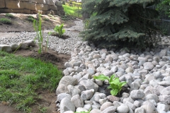 After Large River Rocks Pine Tree-line