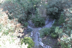 Before East Backyard Oasis