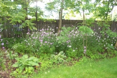 Before South View Garden