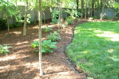 After South View Garden