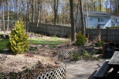 Before N.E Fence Line