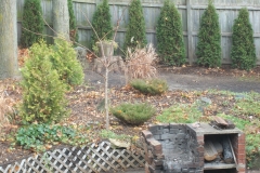 After Fence Line & Garden