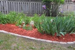 After Flower Bed along South Fence Line