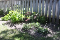 Before Flower Bed along South Fence Line