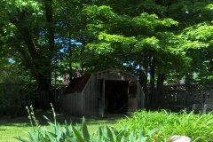 Before Garden Shed Area