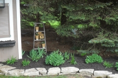 After Garden & Shed Area #3