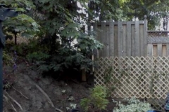 Before West Garden in Hillside