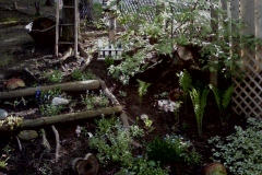 After West Garden in Hillside