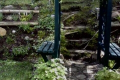 After Steps into a Side Hill Garden