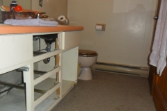 Before Reno of Guest Bathroom #2