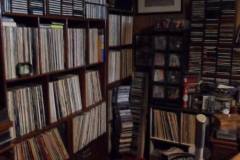 Before Organizing CD's & Record Albums