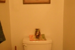 Before Powder-Room Toilet-Area