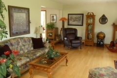 Before Sunken Living Room