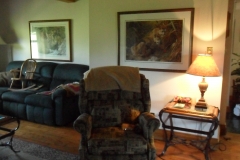 Before Media/Theatre Room Viewing Corner